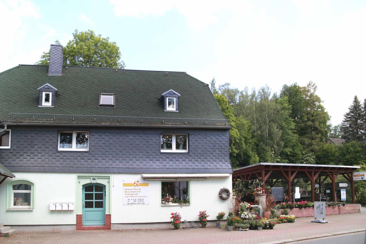 Fewo -Schiefe- Marie Oberlungwitz Extérieur photo